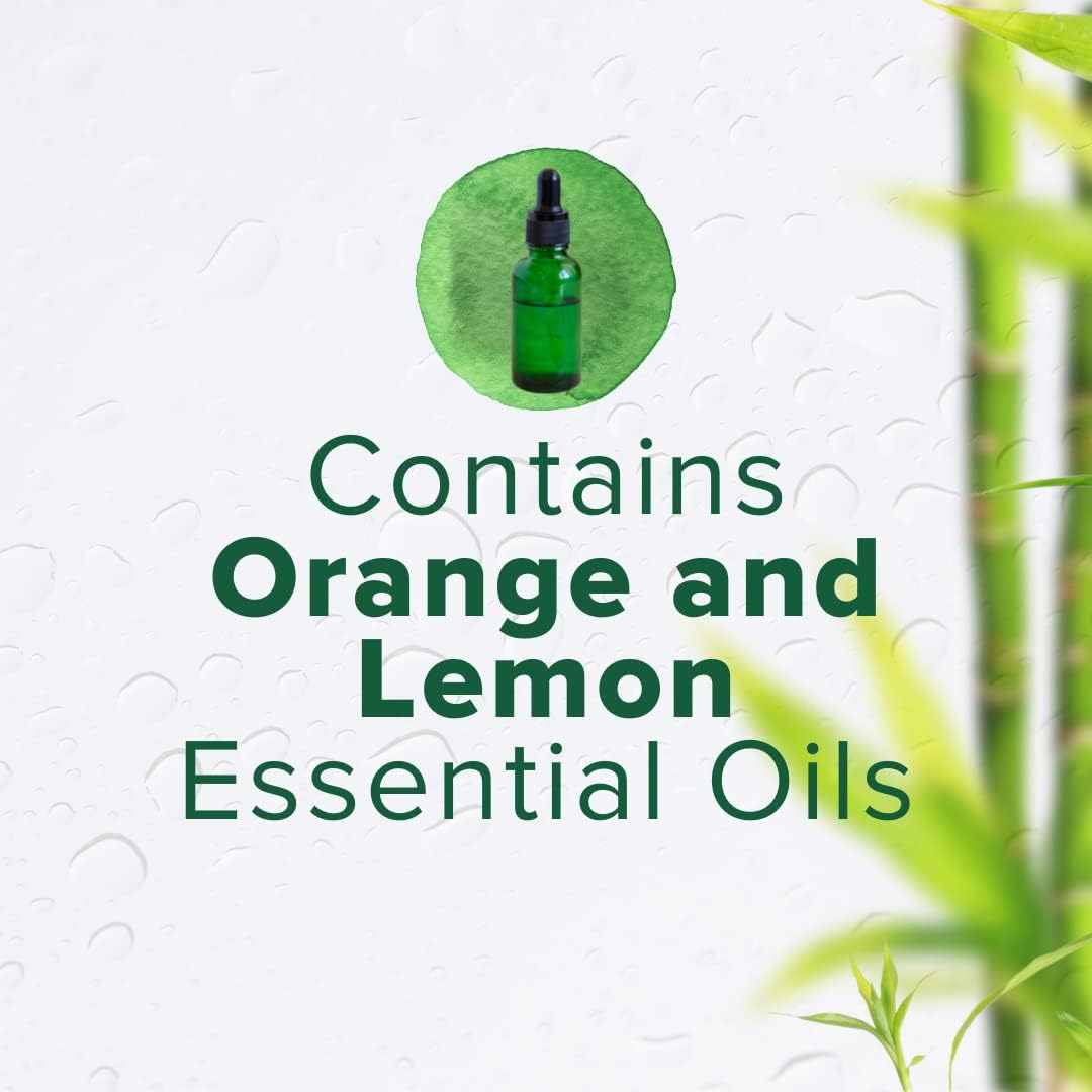 Citrus Magic Solid Air Freshener, Pack of 3, Bamboo Rainforest