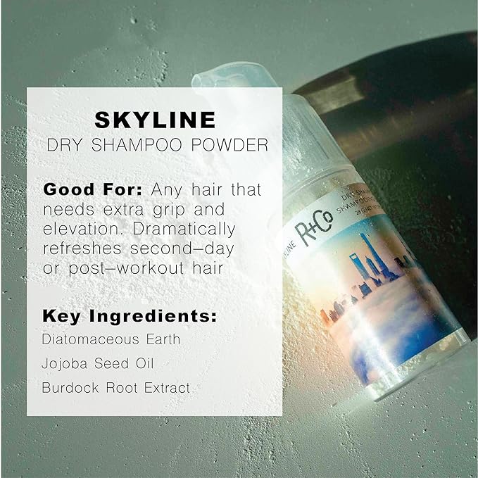 R+Co Skyline Dry Shampoo Powder | Intense Oil Aboroption | Revives Volume, Hair Texture and Grip | TSA Approved | Pack of 2