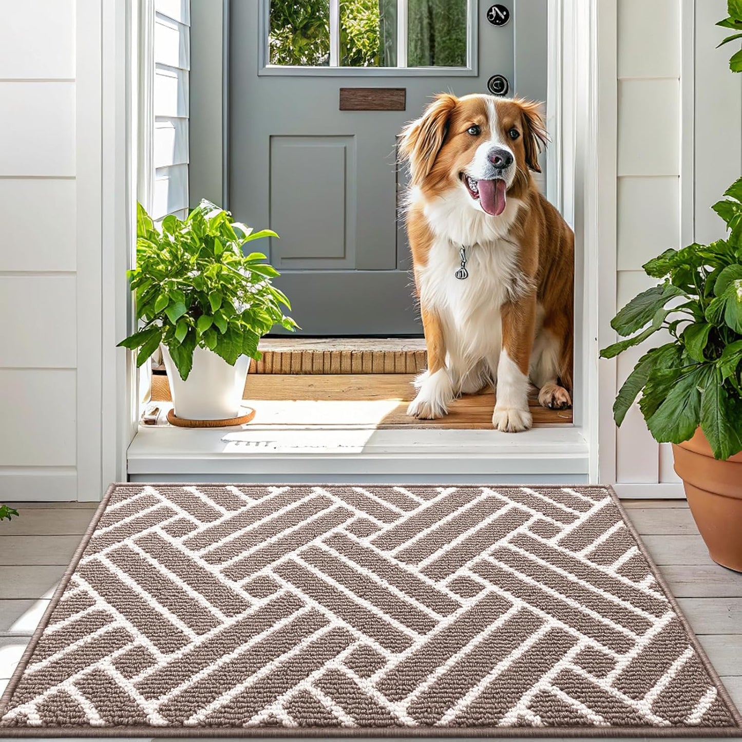 OLANLY Indoor Door Mat, 32x20 Inch, Dirt Resistant and Absorbent, Non-Slip Rubber Backing Floor Mats, Easy Clean Low-Profile Doormat for Entryway, Front Door, and Inside Entrance, Brown
