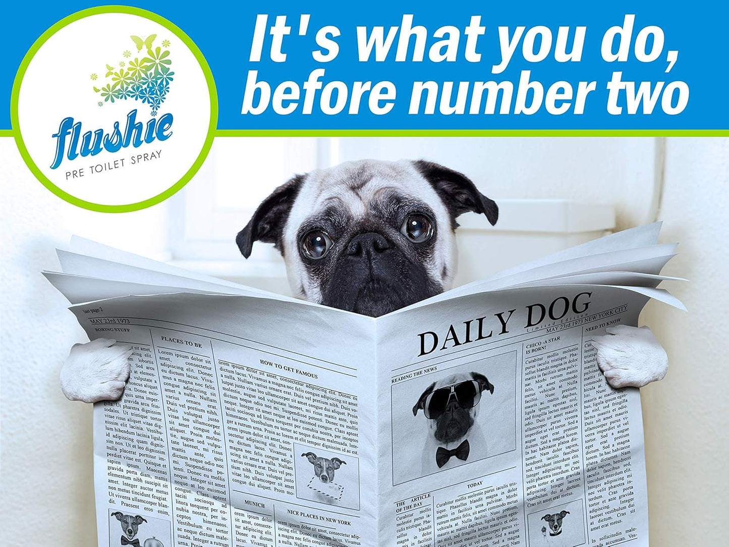 Flushie Pre-Toilet Spray for Travel Size Toiletries - Bathroom Spray Deodorizer for Toilet - Poop Odor Eliminator