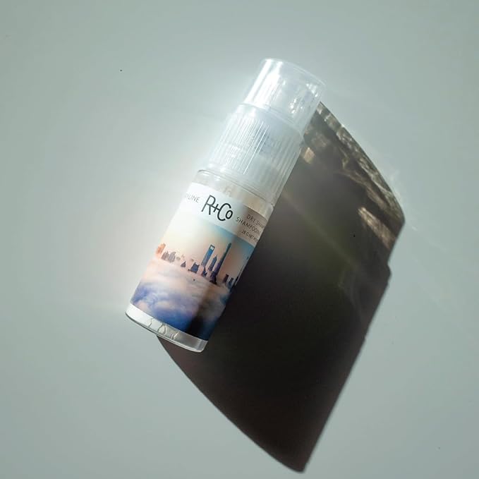 R+Co Skyline Dry Shampoo Powder | Intense Oil Absorption | Revives Volume, Hair Texture and Grip | TSA Approved | 1 Fl Oz