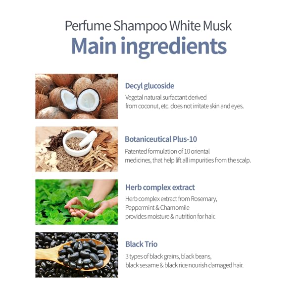 Official Perfume Shampoo (White Musk Scent - 16.90 Fl Oz)