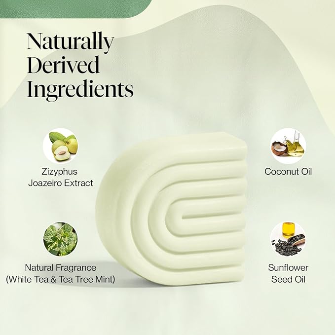 Kitsch Tea Tree & Mint Conditioner for Women and Men - Clarifying Anti Dandruff Solid Conditioner Bar - Hair Color Safe, Hair Care for All Hair Types - Organic, Vegan, Sulfate Free - 2.7 oz