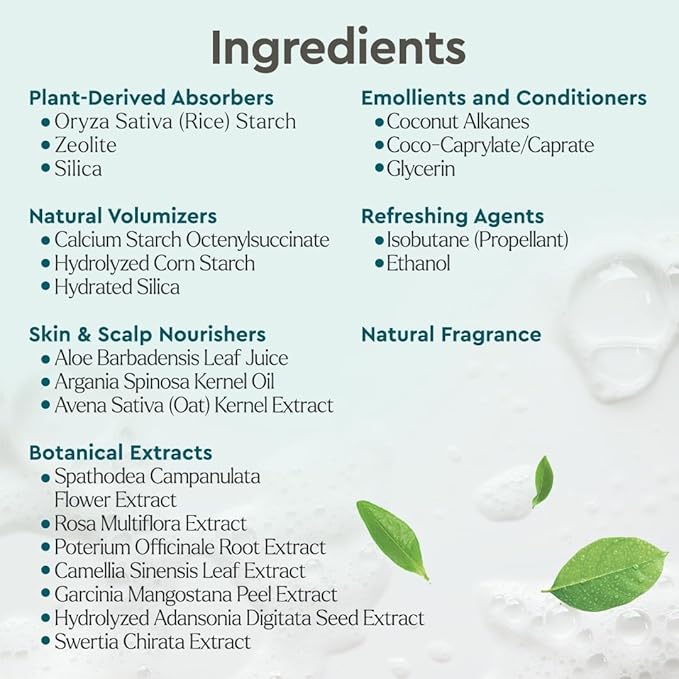 Puracy Natural Dry Shampoo For Women - Plant-Powered Cleansing Volumizing Revitalizing Dry Shampoo As Seen on TikTok, Benzene-Free, Non-Toxic, Oil Absorbing for All Hair Types (Citrus & Jasmine, 12oz)