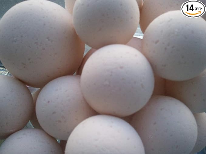 Spa Pure Egyptian Musk - Bath Bombs Made in USA with Shea Butter, Ultra Moisturizing, Great for Dry Skin (14 Count) Pack of 1