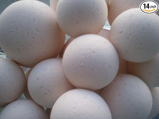 Spa Pure Egyptian Musk - Bath Bombs Made in USA with Shea Butter, Ultra Moisturizing, Great for Dry Skin (14 Count) Pack of 1