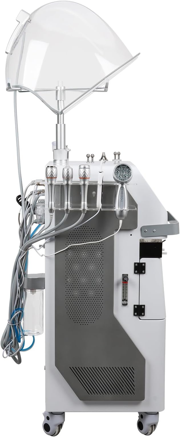 12IN1 Skincare Hydro Oxygen Device Beauty System