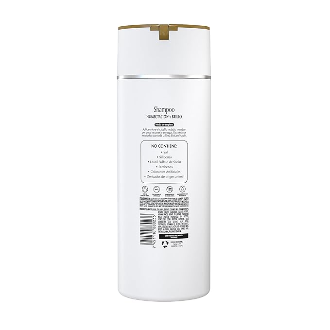 Argan Oil Shampoo - Nourishing & Revitalizing Shampoo for Treated & Dry Hair - 13.53 fl oz (400mL)