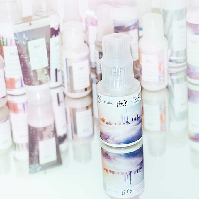 R+Co Skyline Dry Shampoo Powder | Intense Oil Absorption | Revives Volume, Hair Texture and Grip | TSA Approved | 1 Fl Oz