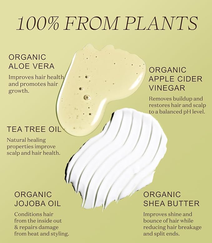 Ingreendients Non Toxic Vegan Shampoo and Conditioner with Organic Ingredients, Apple Cider Vinegar, Tea Tree Oil - Color Safe, Paraben & Gluten Free, Silicone & Sulfate Free, pH Balanced