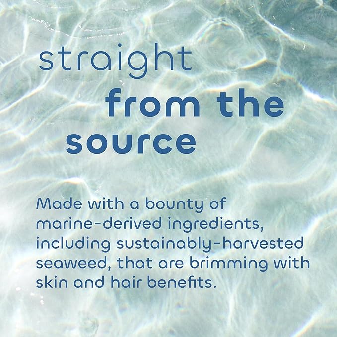 Seaweed Bath Co. Gentle Shampoo, Unscented, 12 Ounce, Sustainably Harvested Seaweed, Aloe, Argan Oil, for Sensitive Scalps and All Hair Types