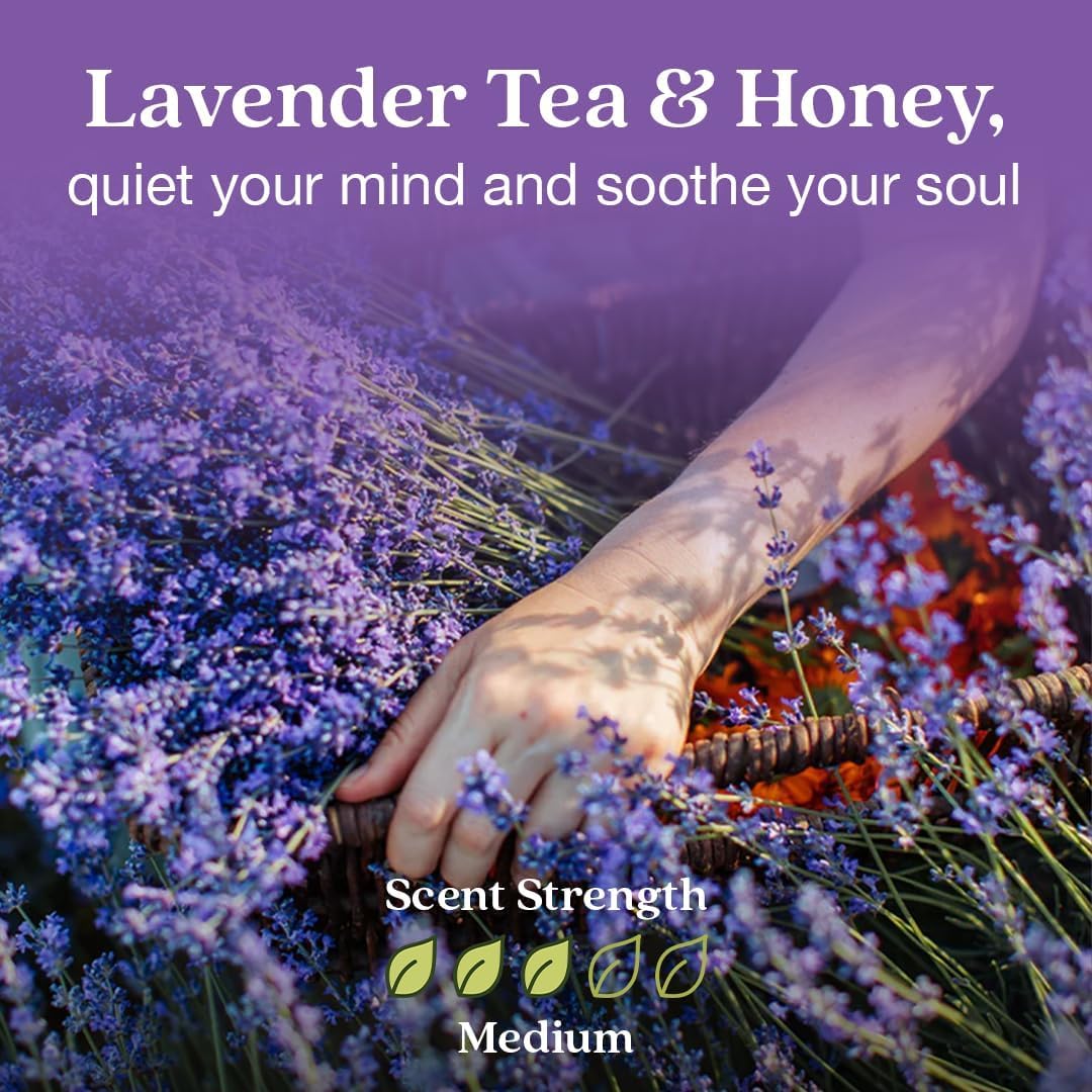 Enviroscent Non-Toxic Air Freshener for Home | Liquid Free Diffuser | Home Fragrance Lasts Over 30 Days | Kit includes 1 Mango Wood Stand & 1 Scent Stix Refill (Lavender Tea & Honey)