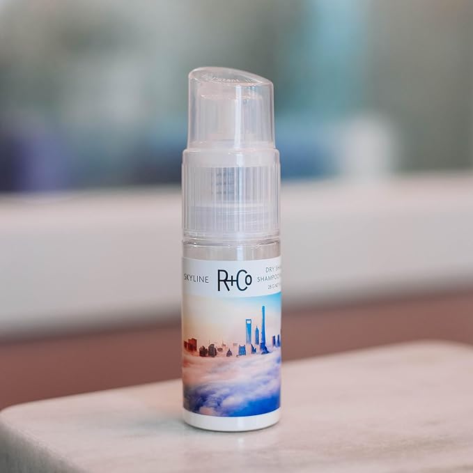 R+Co Skyline Dry Shampoo Powder | Intense Oil Absorption | Revives Volume, Hair Texture and Grip | TSA Approved | 1 Fl Oz