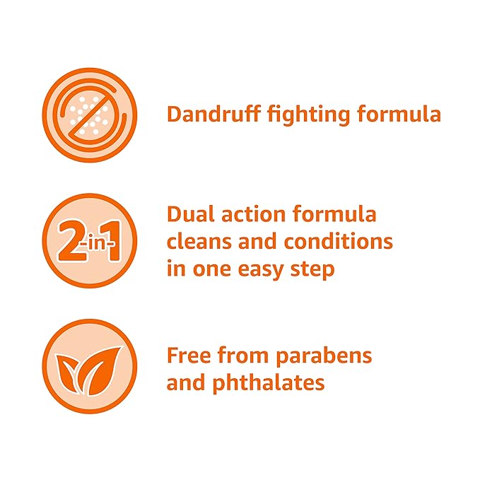 Amazon Basics 2-in-1 Dandruff Shampoo and Conditioner, Gentle, pH Balanced, 12.5 Fl Oz (Pack of 6) (Previously Solimo)