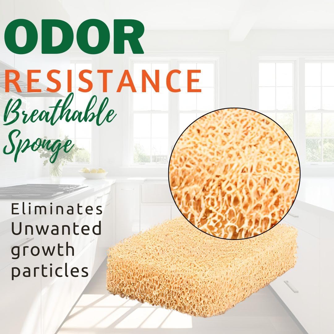 Peachy Clean Kitchen Scrubber Fragrance Free 3pk