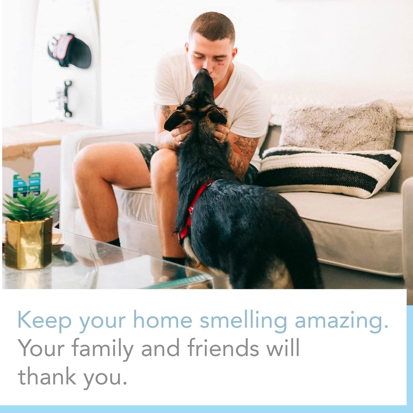 Expressive Scent 6 Pack Pomegranate Large Scented Sachet Envelope - Heritage Collection