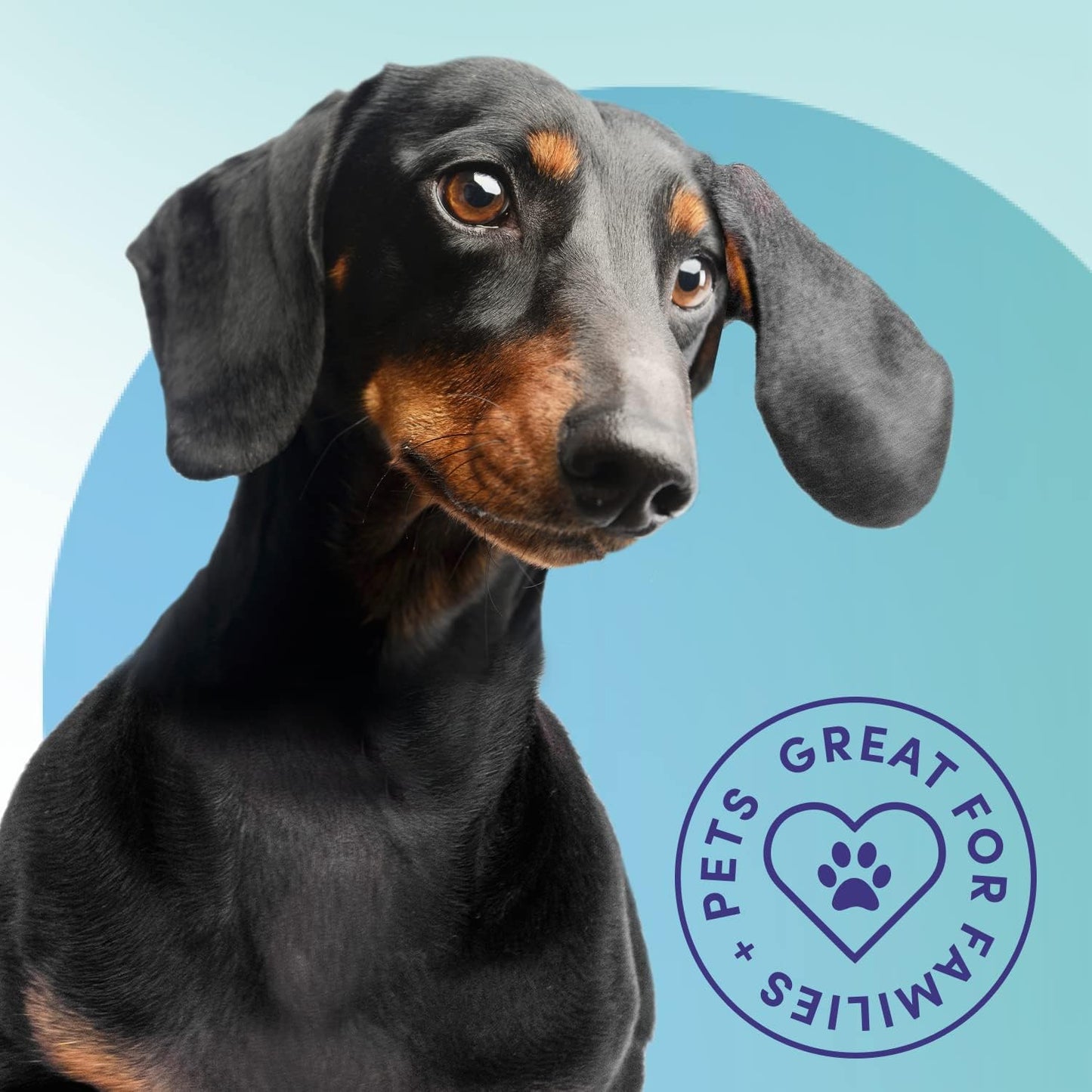 Bioesque Advanced Stain + Odor Remover, Pet-Friendly Natural Enzymatic & Bacterial Formula, Heavy-Duty Stain & Odor Remover, Safe on Carpets, Hard Floors, & More, 32 Fl Oz (Pack of 6)