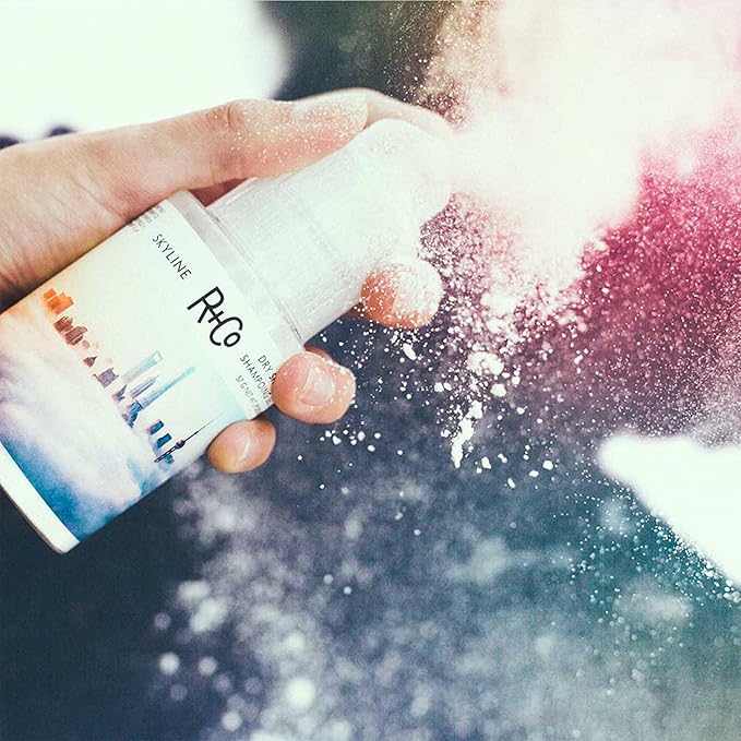 R+Co Skyline Dry Shampoo Powder | Intense Oil Absorption | Revives Volume, Hair Texture and Grip | TSA Approved | 1 Fl Oz