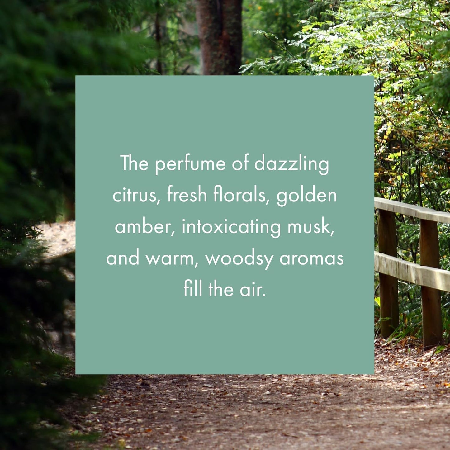 ScentAir Whisper Home Monthly Plug-in Refill, Fragrance Cartridge for Home and Office, A Walk in the Woods