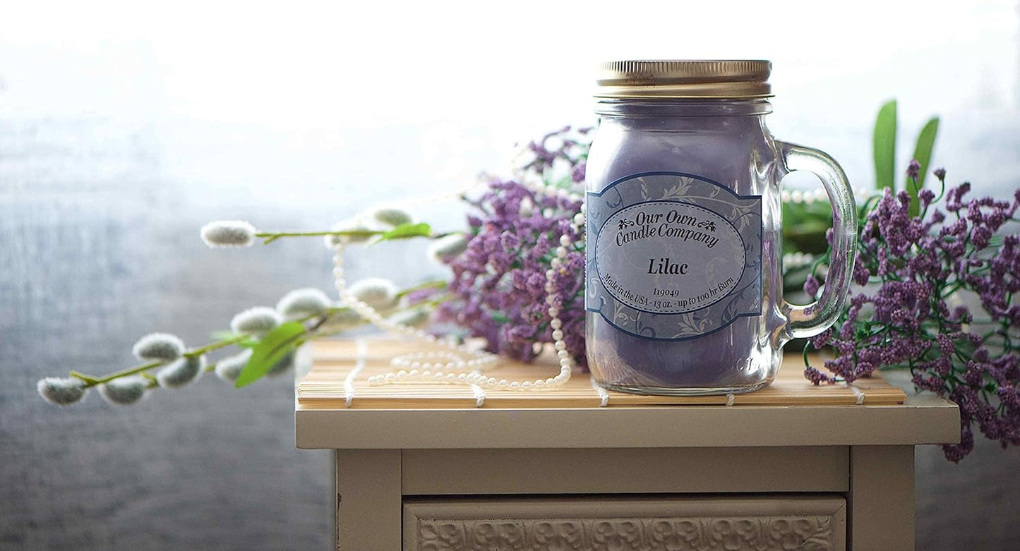 Our Own Candle Company Premium Wax Melt, French Vanilla, 6 Cubes, 2.4 oz (4 Pack)