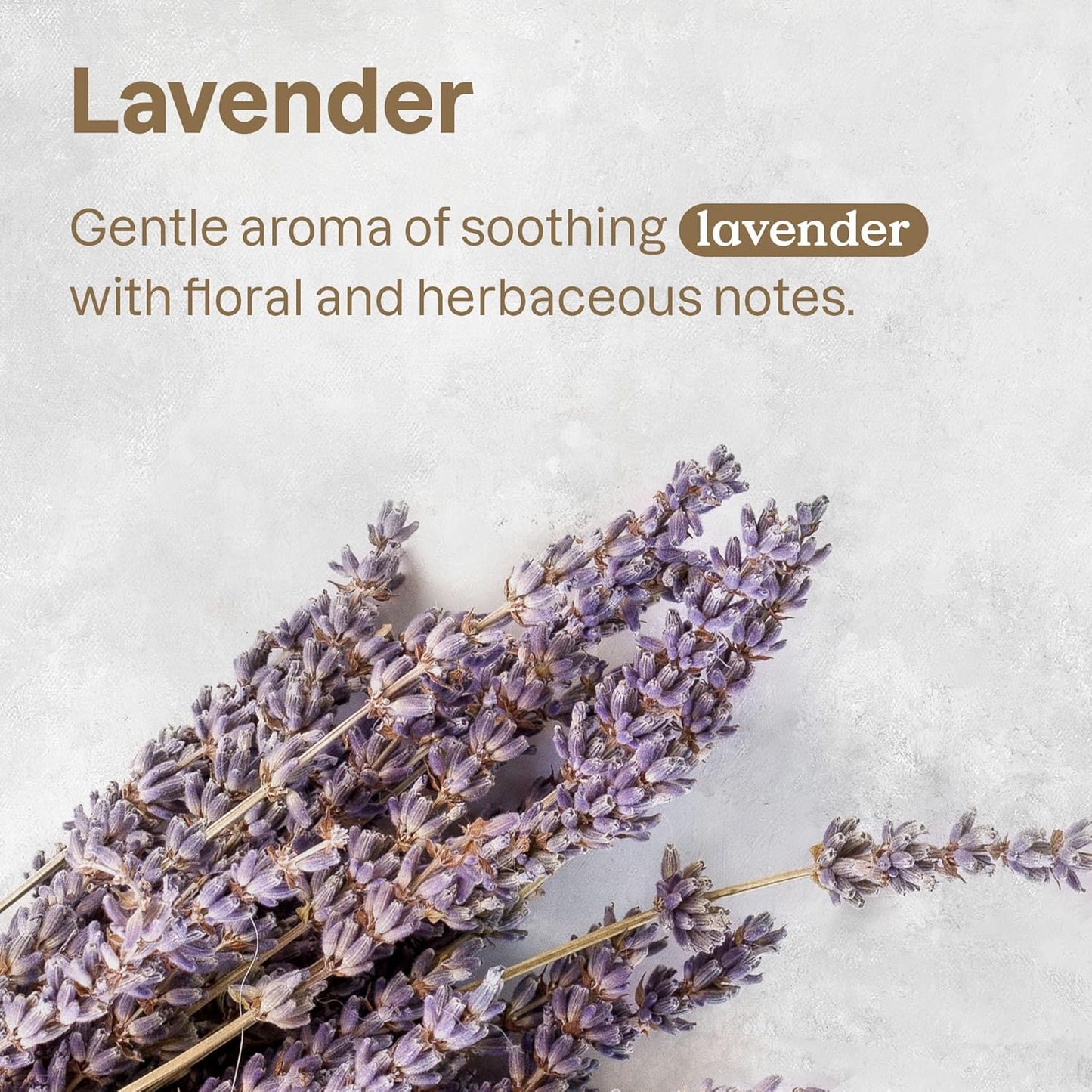 ATTITUDE Stain and Odor Remover for Pets, Plant and Mineral-Based Ingredients, Vegan and Cruelty-Free, Bulk Refill, Lavender, 67.62 Fl Oz