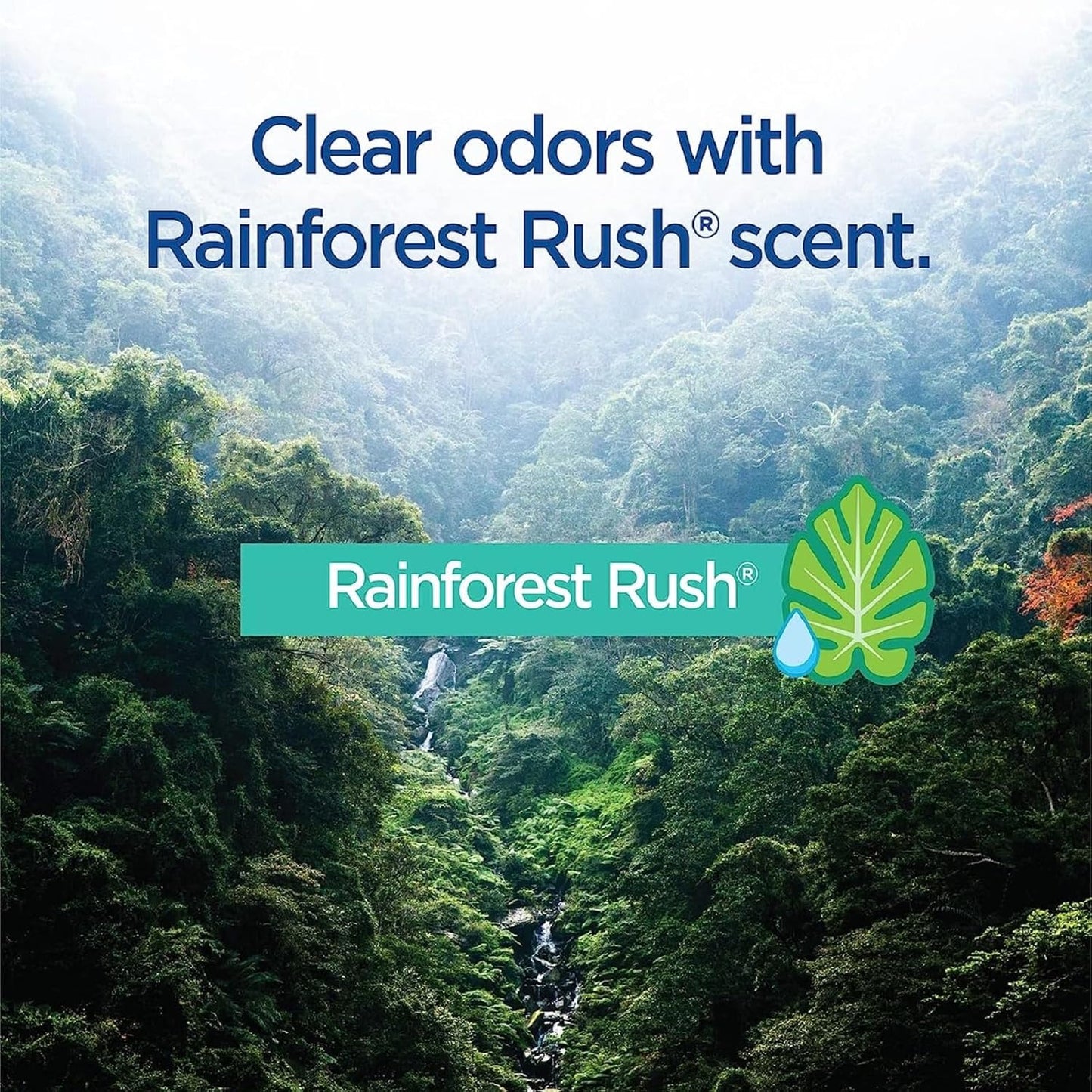 Clorox ToiletWand Disinfecting Refills, Rainforest Rush, Dorm Room Essentials, 30 Ct