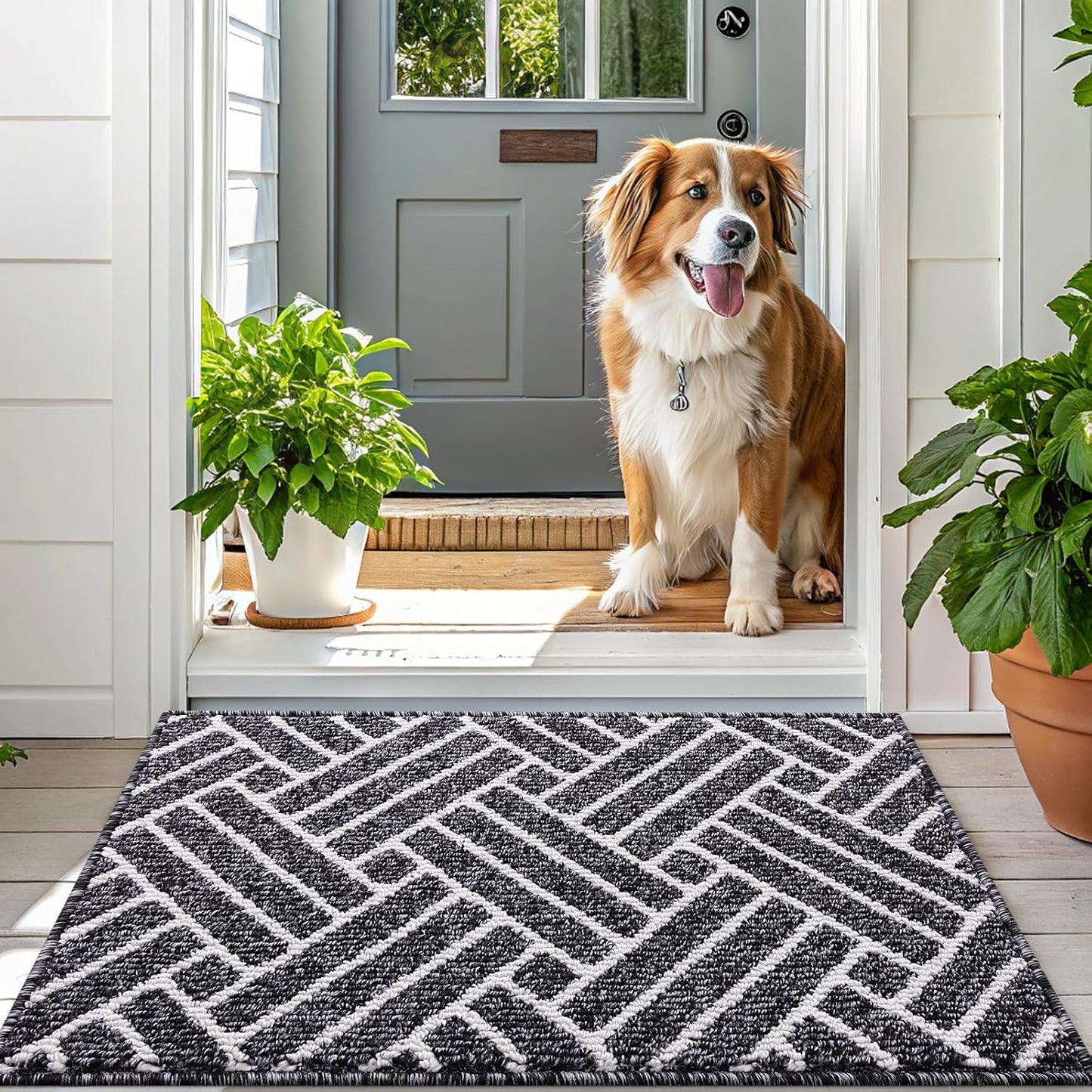 OLANLY Runner Indoor Door Mat, 70x23 Inch, Dirt Resistant and Absorbent, Non-Slip Rubber Backing Floor Mats, Easy Clean Low-Profile Doormat for Entryway, Front Door, and Inside Entrance, Black