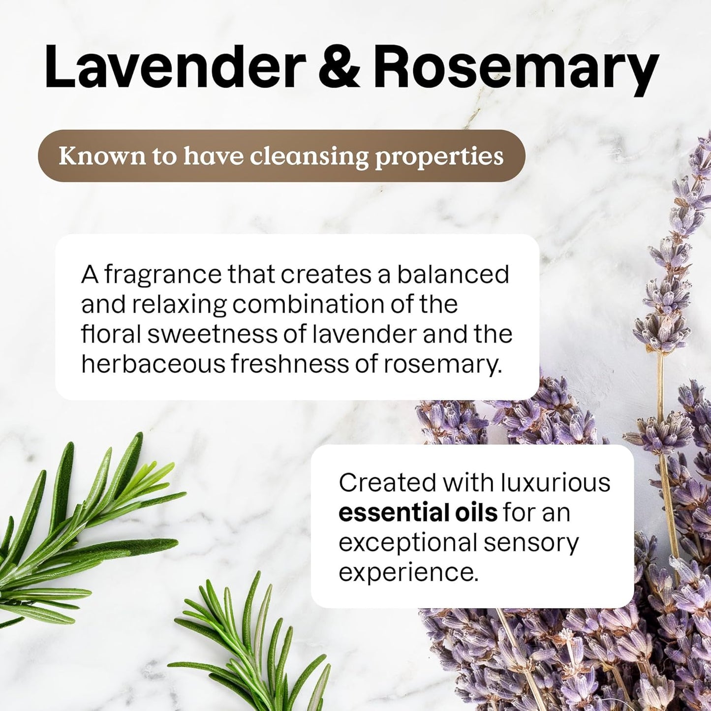 ATTITUDE Multi-Purpose Cleaner with Essential Oils, EWG Verified, Plant and Mineral-Based Ingredients, Vegan Household Products, Refillable Aluminum Bottle, Lavender and Rosemary, 16 Fl Oz (Pack of 6)