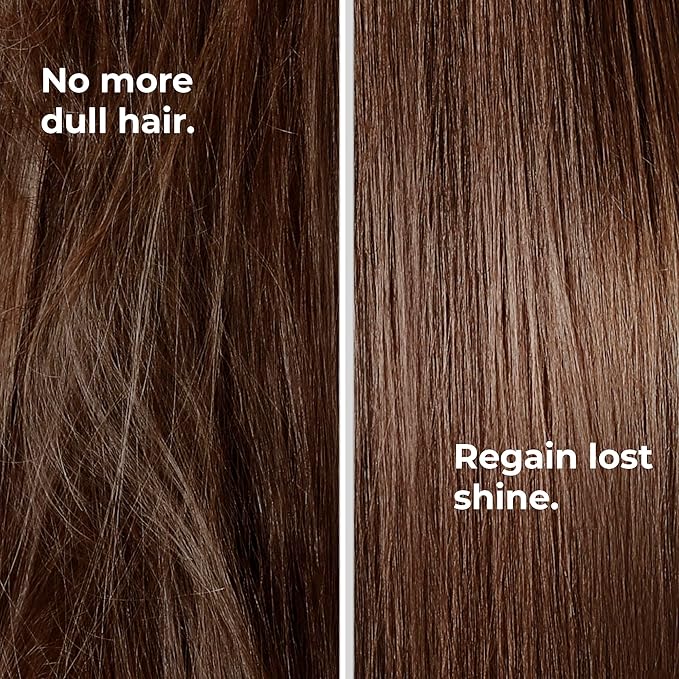 Argan Oil Shampoo - Nourishing & Revitalizing Shampoo for Treated & Dry Hair - 13.53 fl oz (400mL)