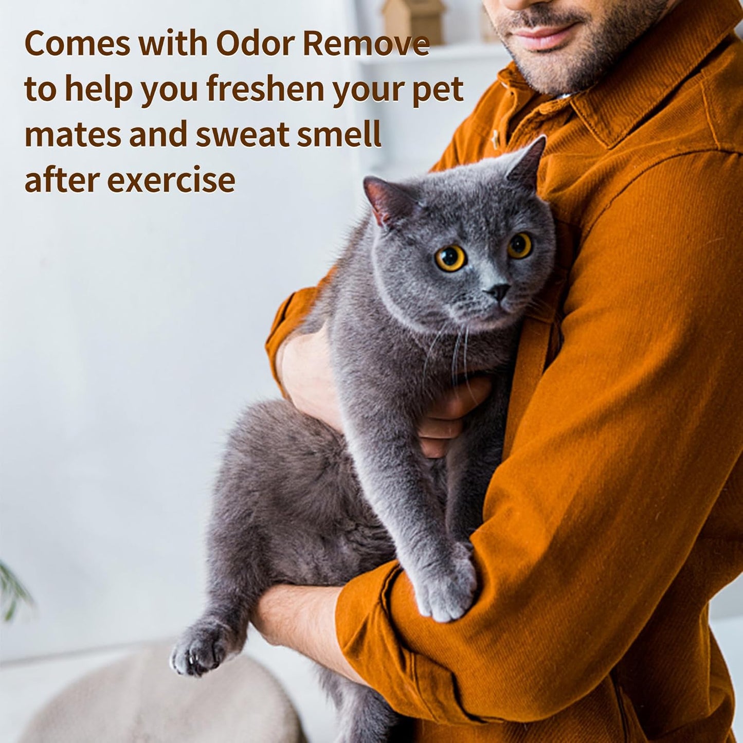 Dr.Easy SPORTS & PETS ODOR REMOVER Fruits Fresh Dryer Sheets,200 Sheets,PLANT&MINERAL-BASED FORMULA