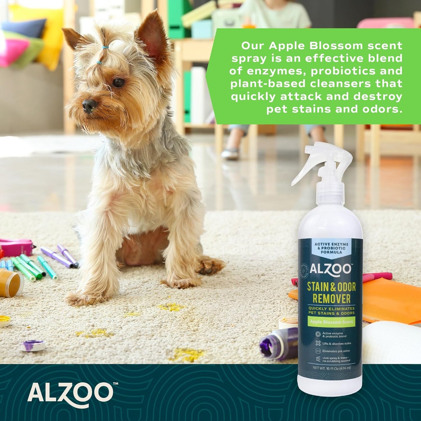 ALZOO Stain & Odor Remover, Quickly Lifts & Dissolves Pet Stains & Helps Eliminate Odors, 100% Plant-Based Active Ingredients, Apple Blossom Scent, 16 Fl. Oz Spray Bottle
