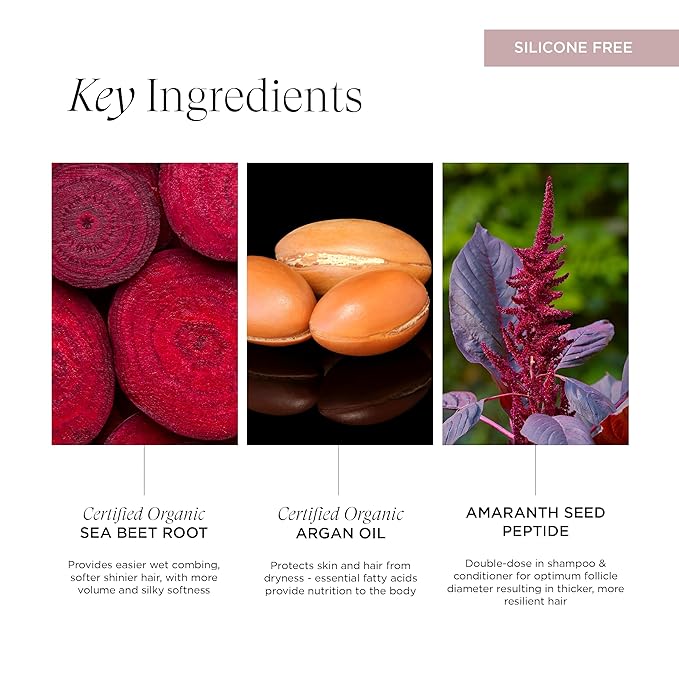 Intelligent Nutrients Amplifi-hair Volumizing Conditioner, Weightless Hydration and Detangling for Fine Hair, Vegan Conditioning Formula, 32 Oz