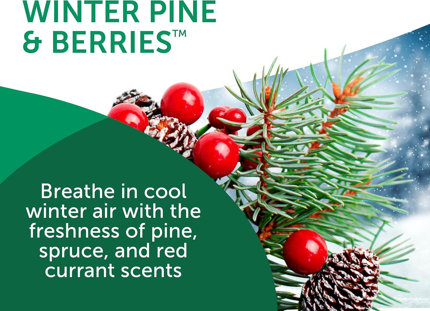 Bright Air 14 oz. Super Odor Eliminator, For Medium-Size Spaces, Winter Pine & Berries Scent, Case of 6, Odor Eliminator & Air Freshener, Natural Essential Oils, Lasts Up to 90 Days Each