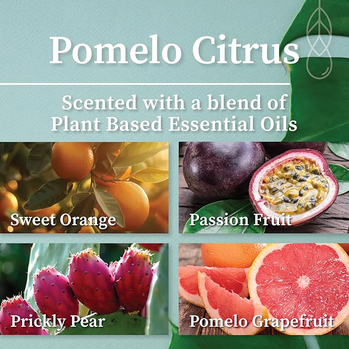 Hemlock Park Pomelo Citrus Artisanal Spa Gift Box | Apothecary Candle, Shea Butter Soap, Bath Bomb, Mineral Salt Bath Soak | Handcrafted with Plant Based Ingredients