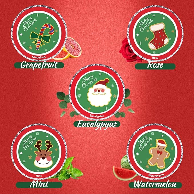 10 Pcs Shower Steamers Aromatherapy, Christmas Gifts Shower Bombs with Essential Oils, Self Care Christmas Stocking Stuffers for Women Men