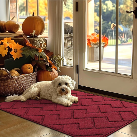 hicorfe Indoor Door Mat,Non Slip Door Mats,32"x48" Front Back Door Mat Rubber Backing,Absorbent Resist Dirt Entrance Inside Floor Mats for Entryway Washable Low-Profile(Red)