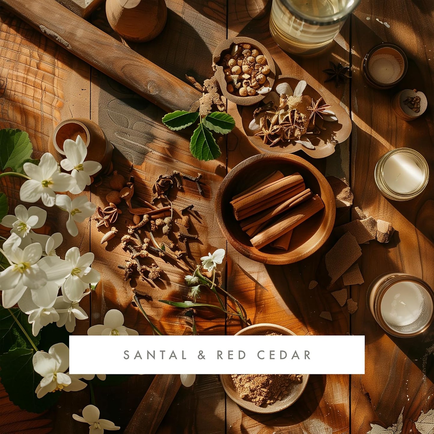 ScentAir Whisper Home Monthly Plug-in Refill, Fragrance Cartridge for Home and Office, Santal & Red Cedar