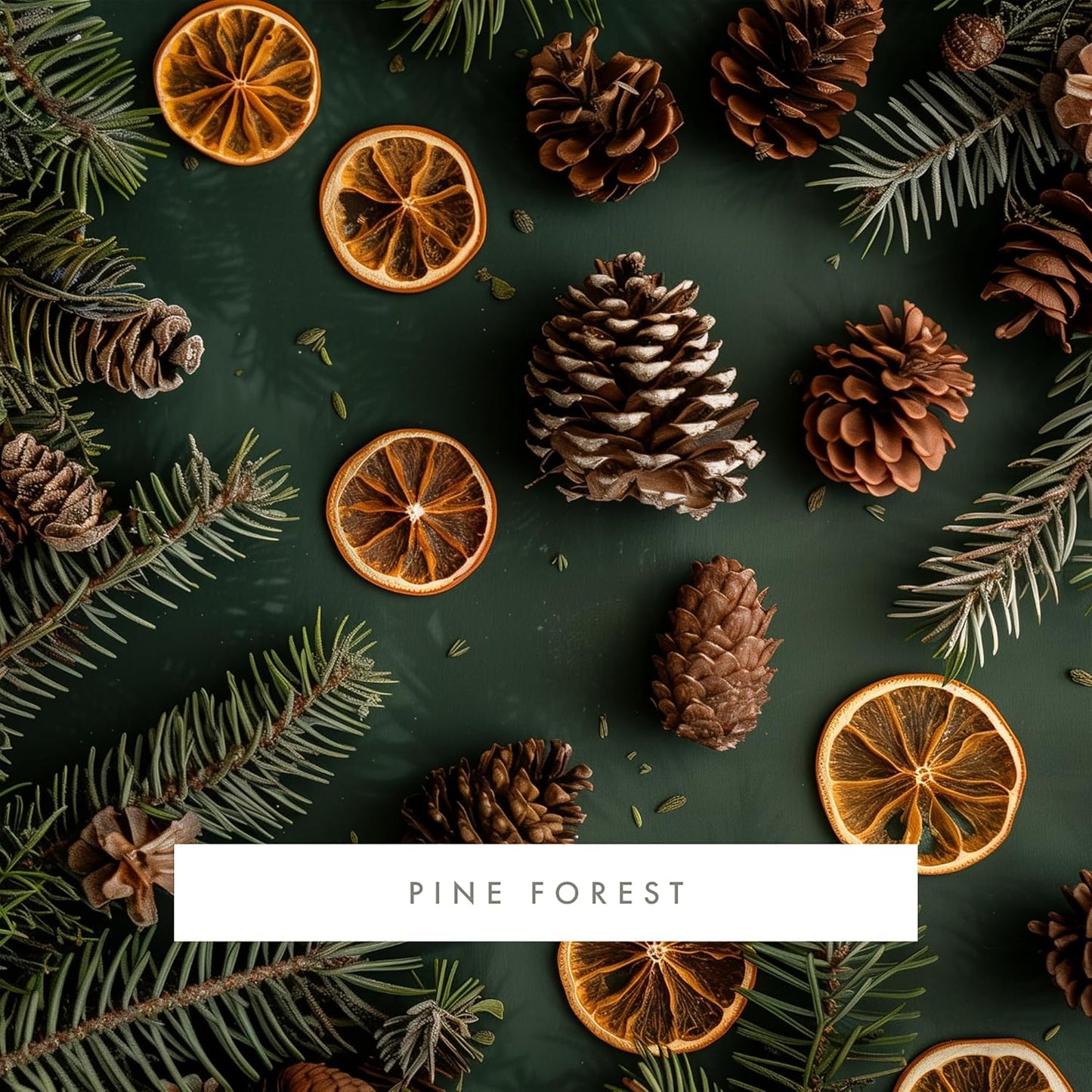 ScentAir Whisper Home Monthly Plug-in Refill, Fragrance Cartridge for Home and Office, Pine Forest