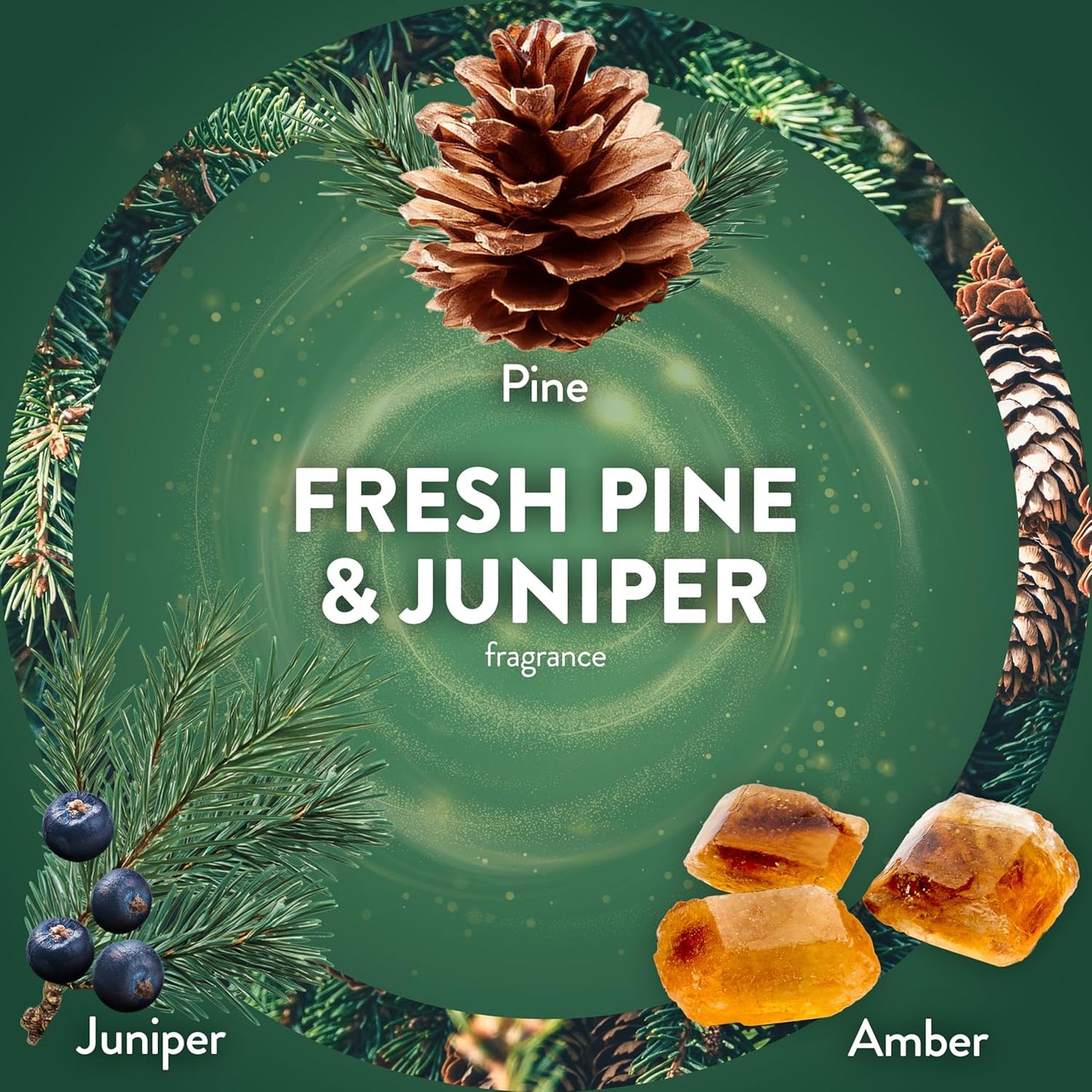 Air Wick Scented Oils 0+5 Fresh Pine & Juniper